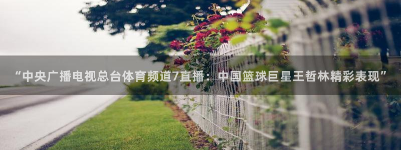“中央广播电视总台体育频道7直播：中国篮球巨星王哲林精彩表现”