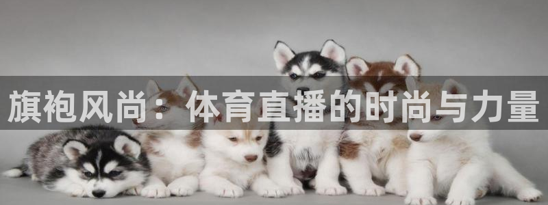 旗袍风尚：体育直播的时尚与力量