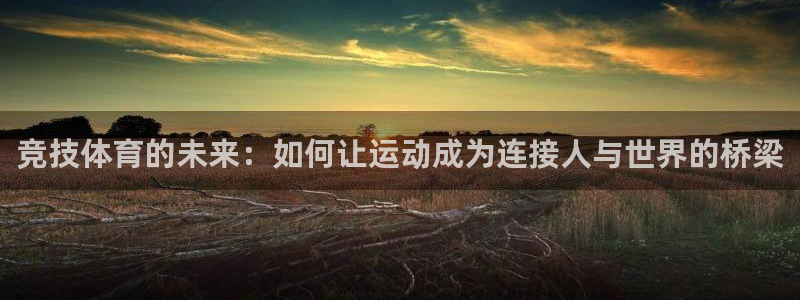 竞技体育的未来：如何让运动成为连接人与世界的桥梁