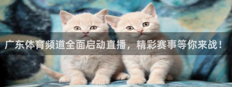 广东体育频道全面启动直播，精彩赛事等你来战！